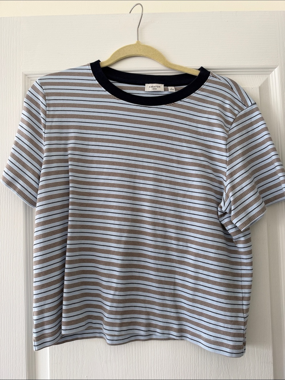 Aritzia Light Blue, Brown & Black Striped Crewneck Tee